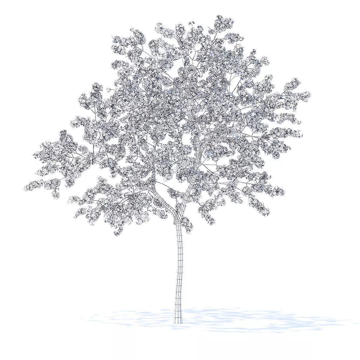 Peach Tree with Flowers 3D Model 3D model_4