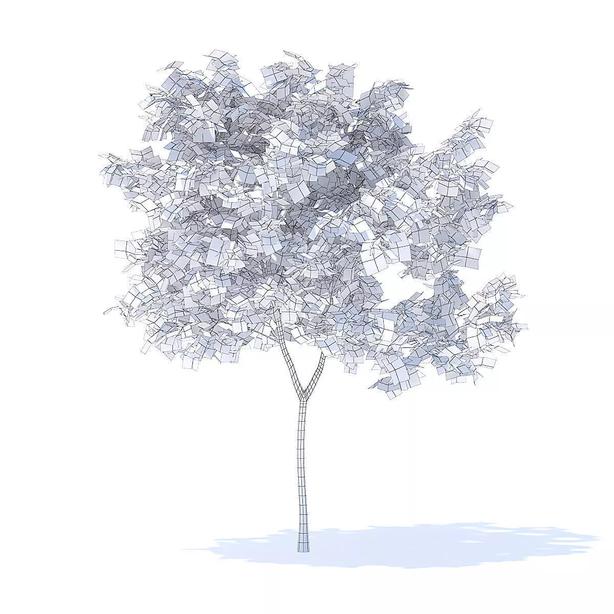 Peach Tree 3D Model 3D model