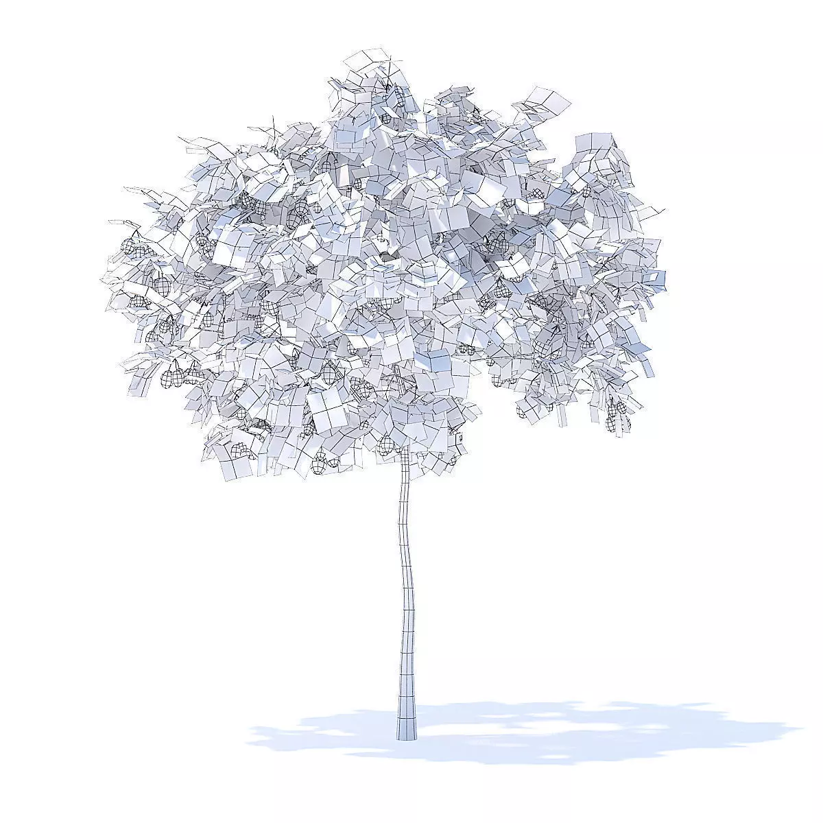 Plum Tree with Fruits 3D Model 3D model_4