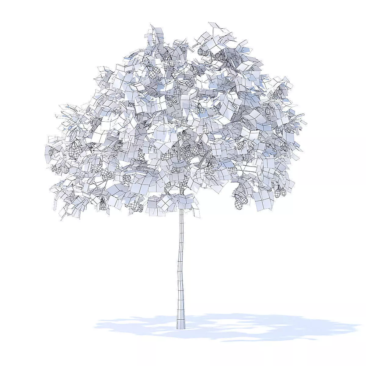 Plum Tree with Fruits 3D Model 3D model_2