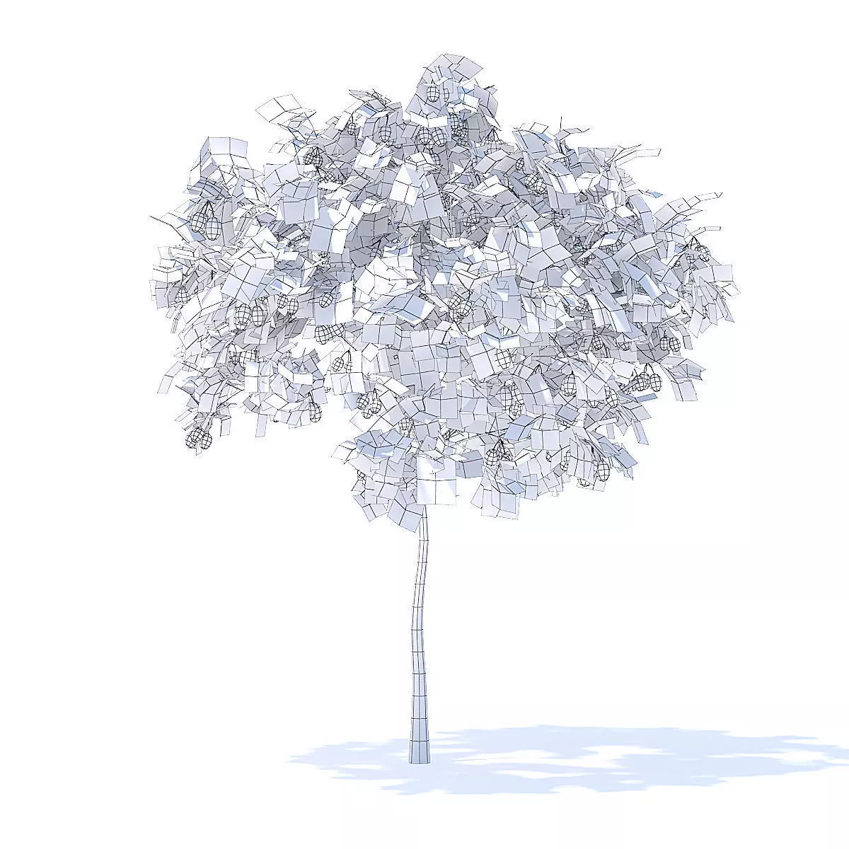 Plum Tree with Fruits 3D Model 3D model_0