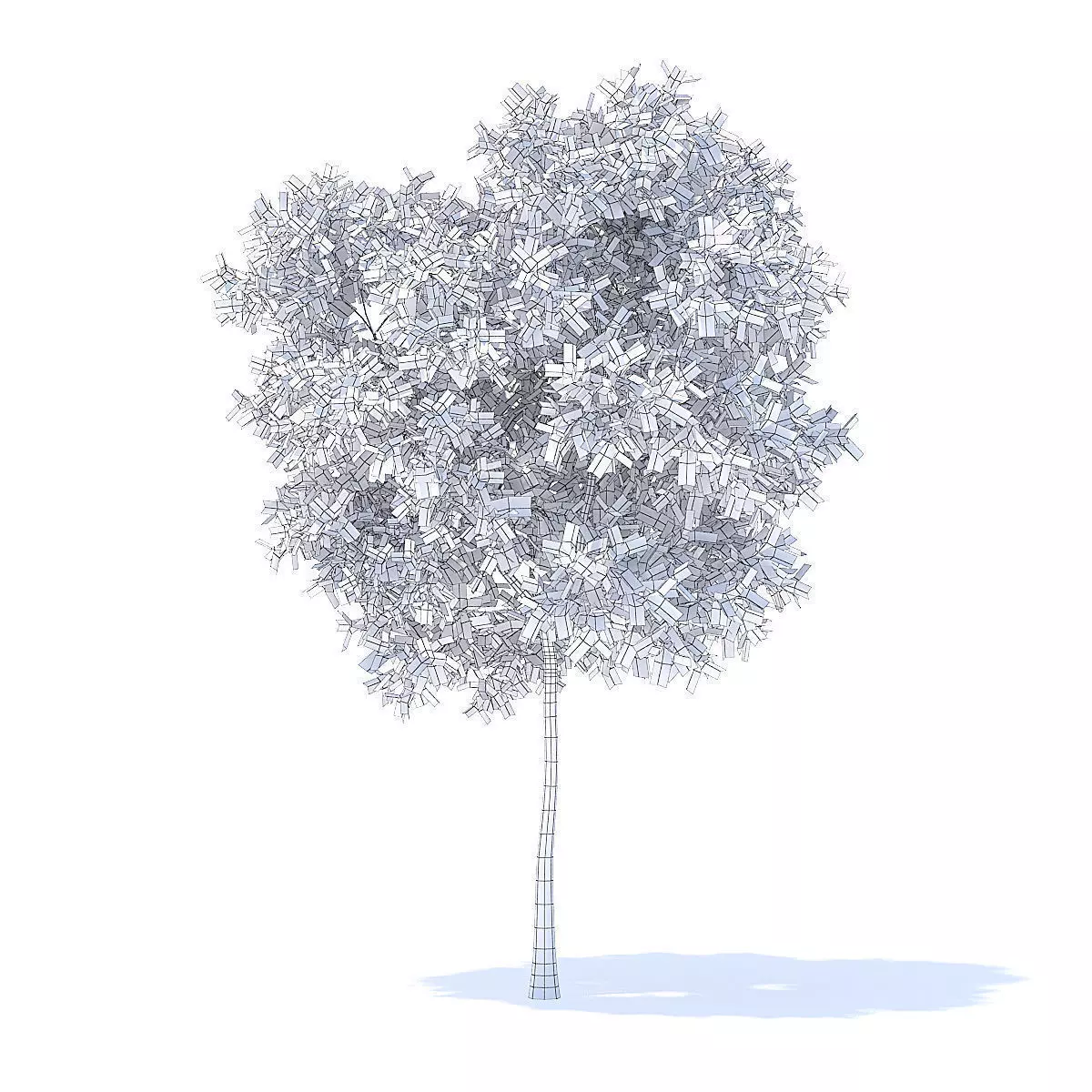Pear Tree 3D Model 3D model_0