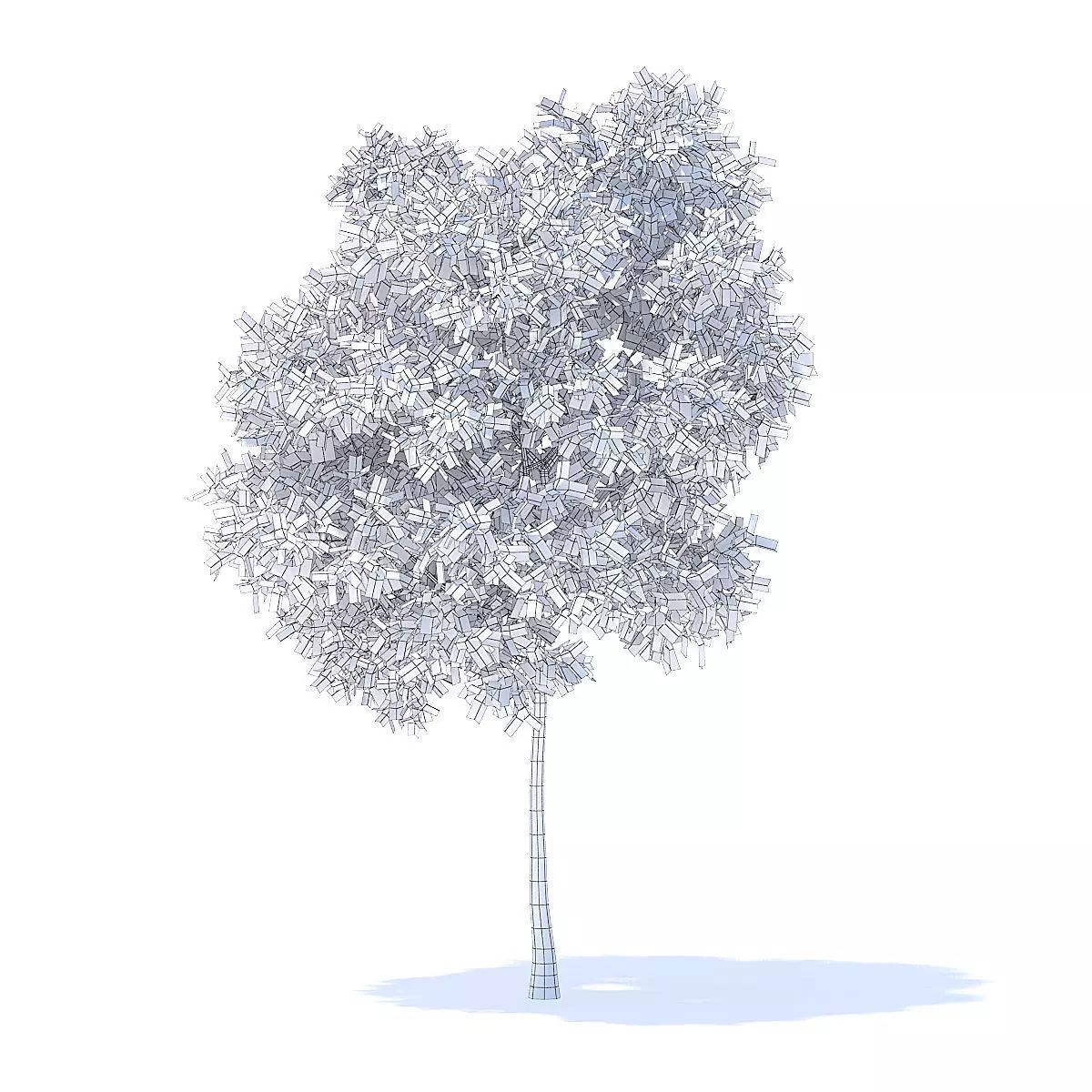 Pear Tree 3D Model 3D model_6