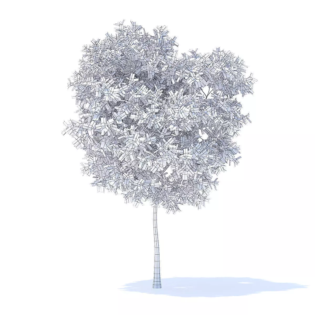 Pear Tree 3D Model 3D model_4