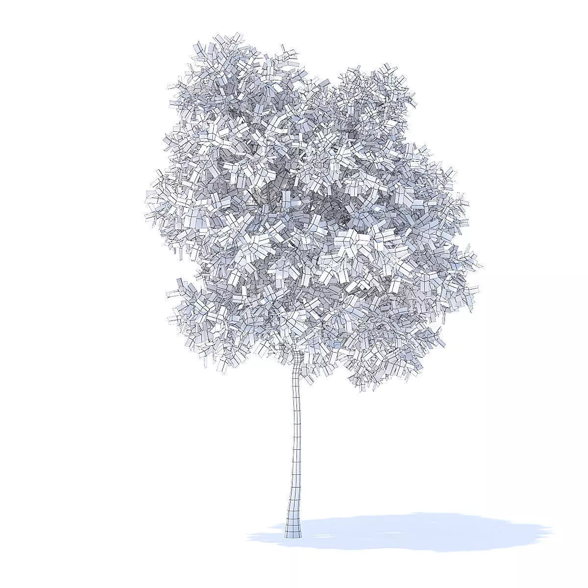 Pear Tree 3D Model 3D model_2