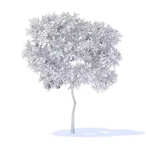 Pear Tree with Fruits 3D Model