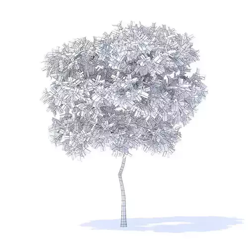 Pear Tree 3D Model 3D model
