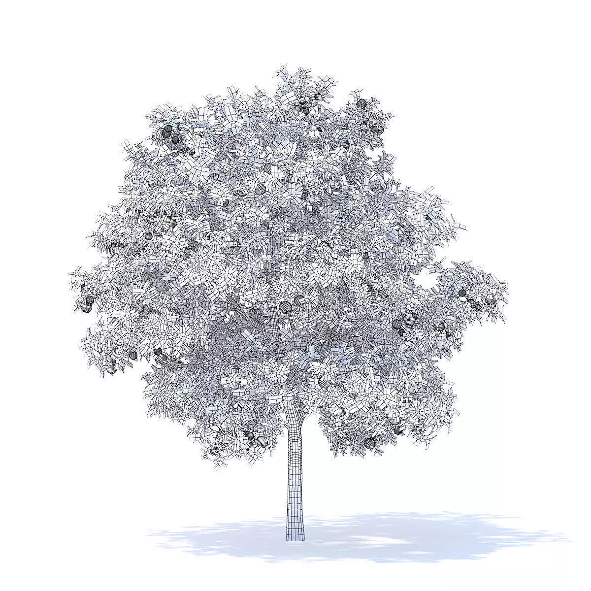 Apple Tree with Fruits 3D Model 3D model_2