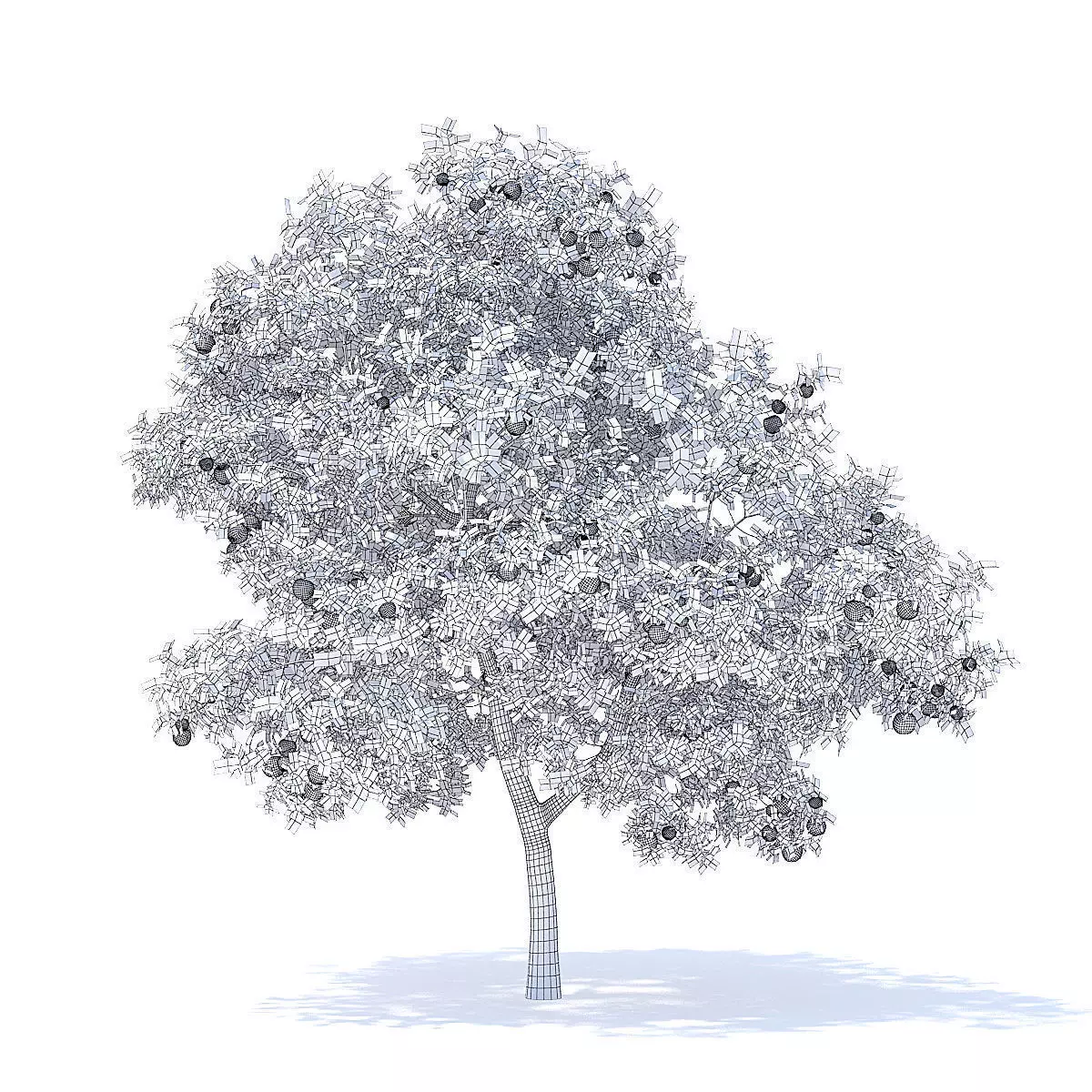 Apple Tree with Fruits 3D Model 3D model_4