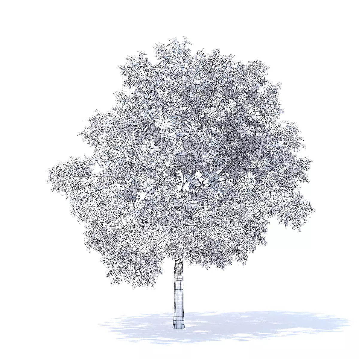 Apple Tree 3D Model 3D model_6