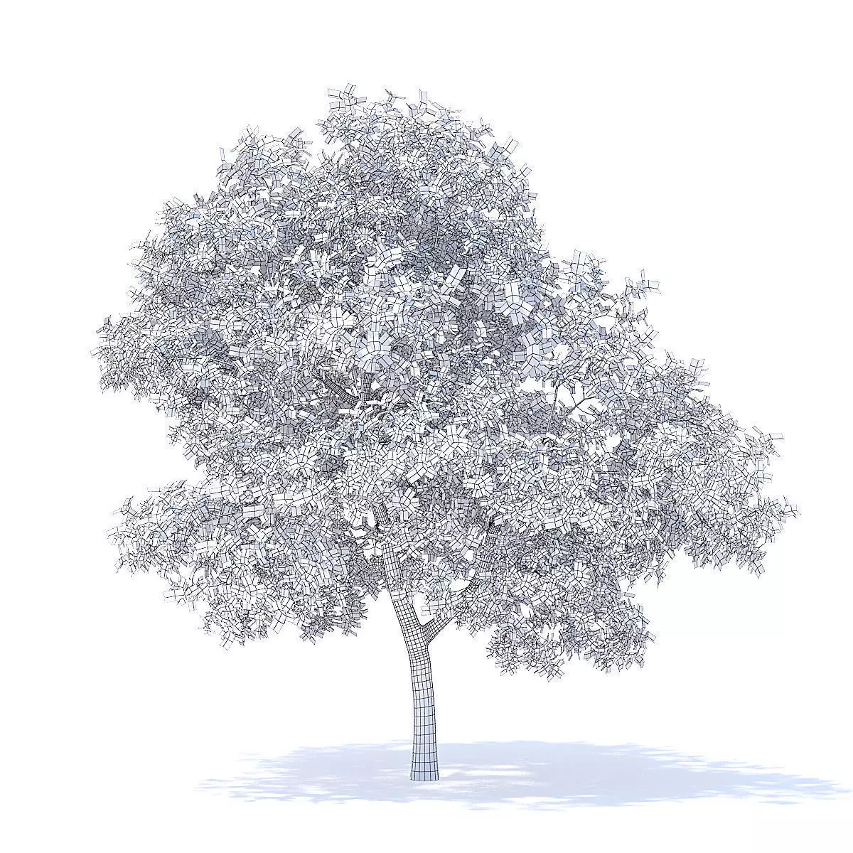 Apple Tree 3D Model 3D model_4