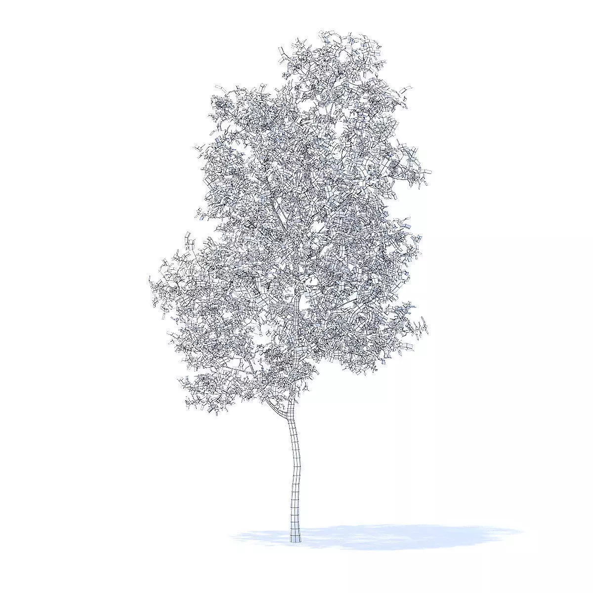 Apple Tree with Flowers 3D Model 3D model