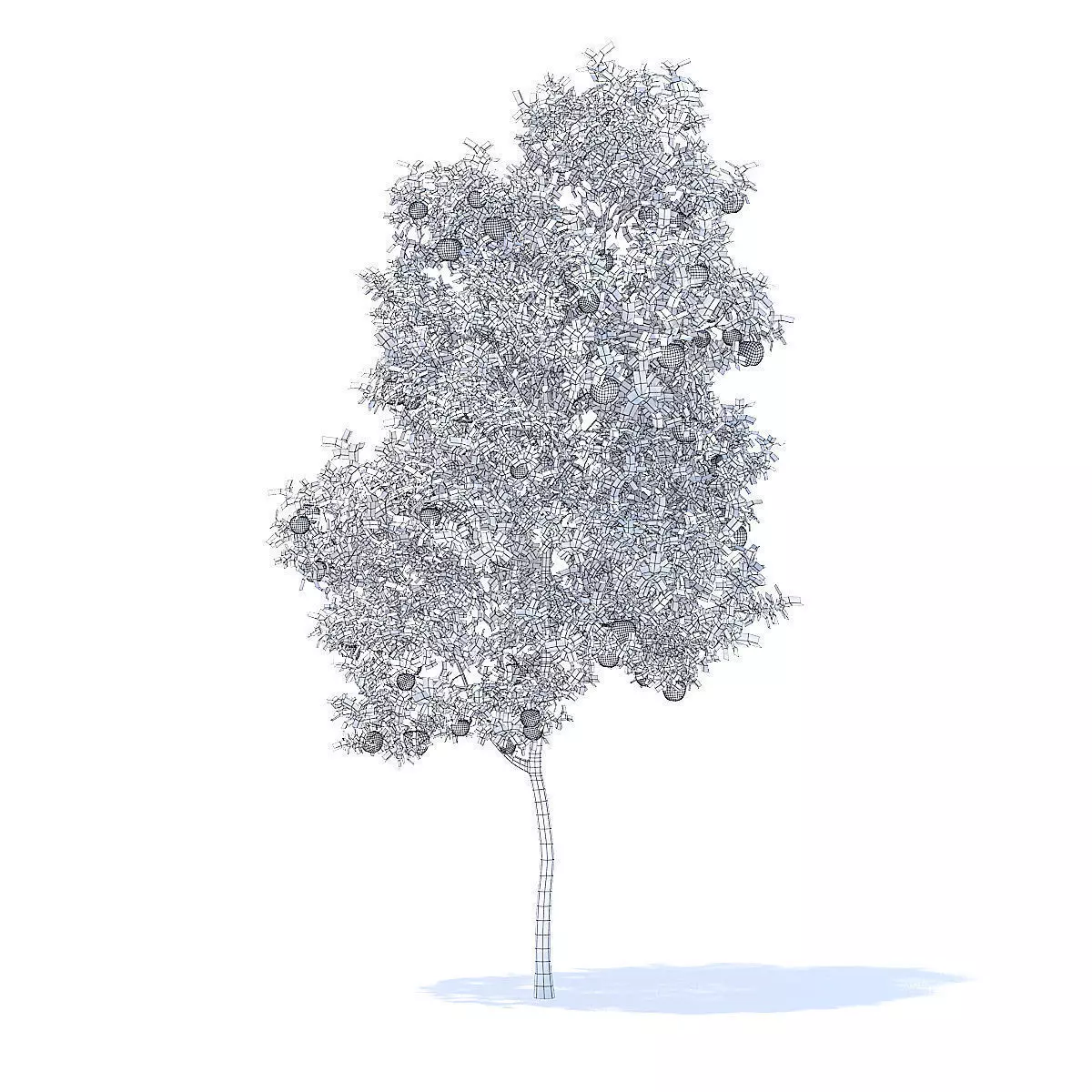 Apple Tree with Fruits 3D Model 3D model