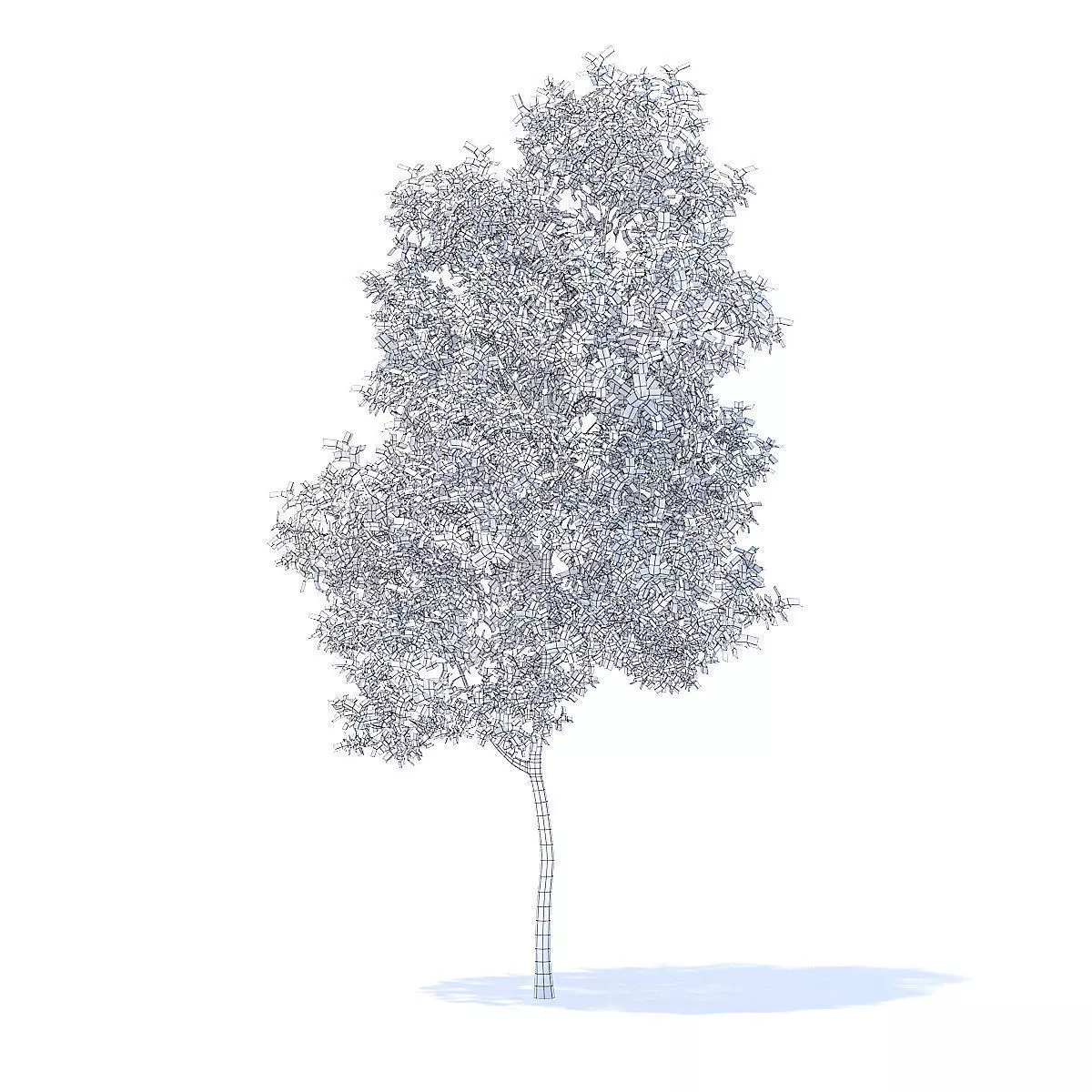 Apple Tree 3D Model 3D model