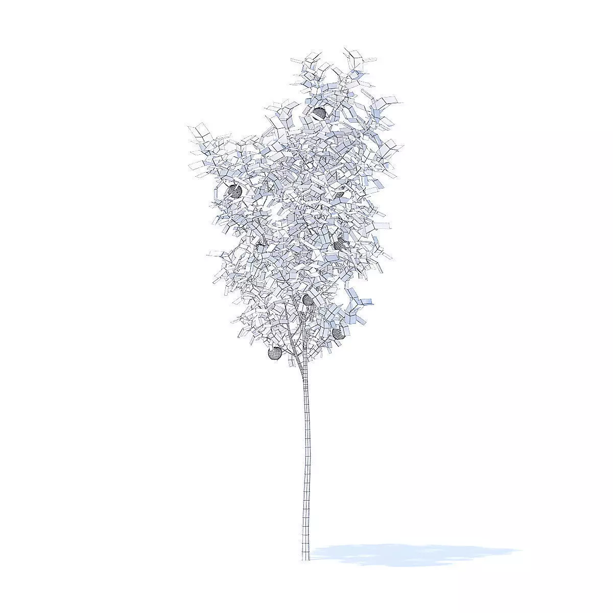 Apple Tree with Fruits 3D Model 3D model