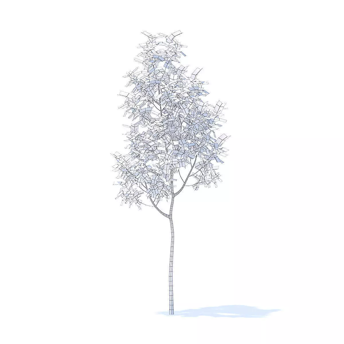 Apple Tree 3D Model 3D model_6