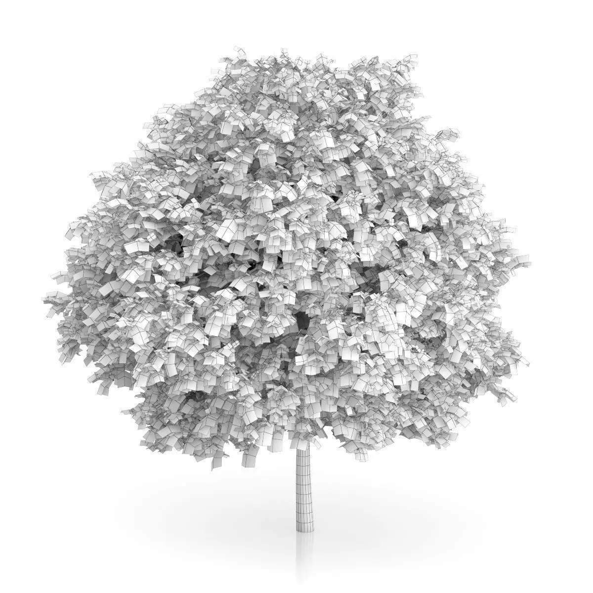 Common Walnut Tree Juglans regia 3D model_1