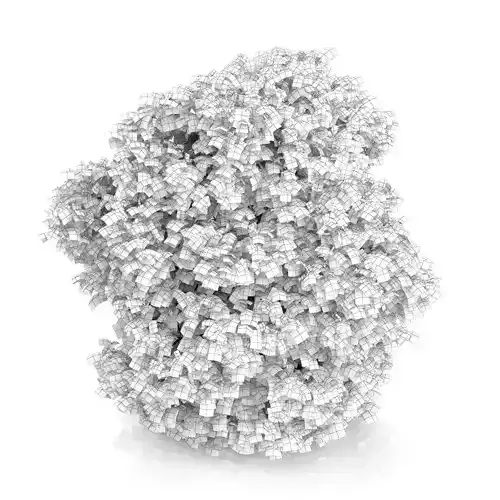 Common Hazel Tree Corylus avellana