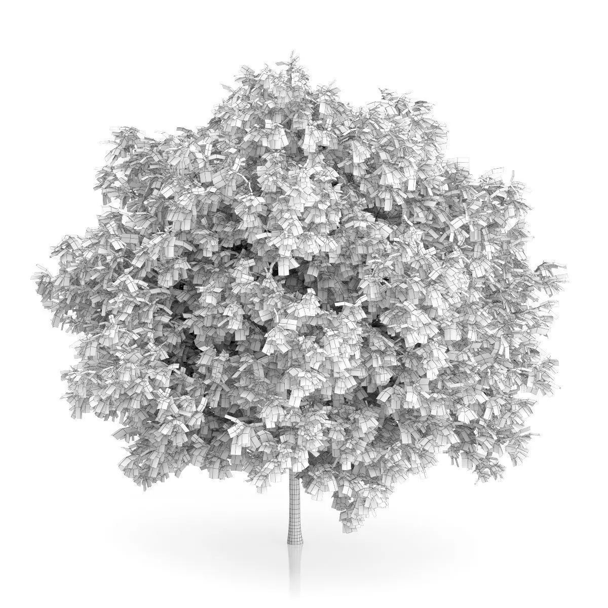 Rowan Tree Sorbus aucuparia 3D model_1