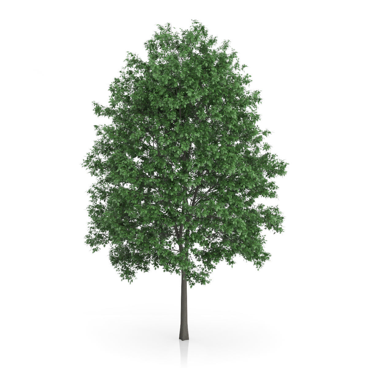 vrmesh revert c4d vrmesh revert c4d