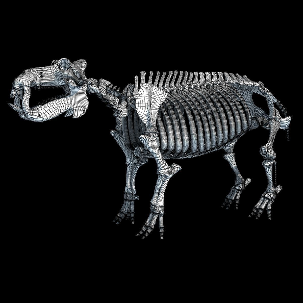 Savanna Animal Skeletons 3D model_13