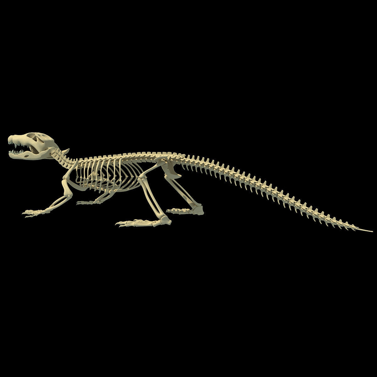 Savanna Animal Skeletons 3D model_40