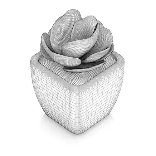 Small Plant in White Pot 2