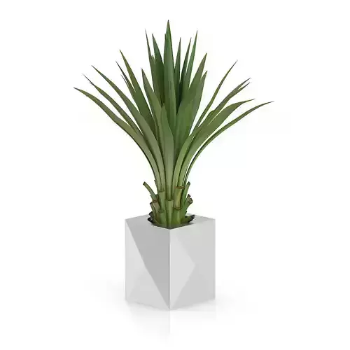 Small Palm in Metal Pot 3D model