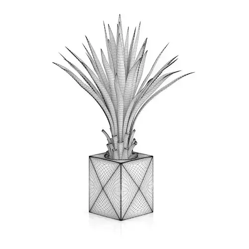 Small Palm in Metal Pot