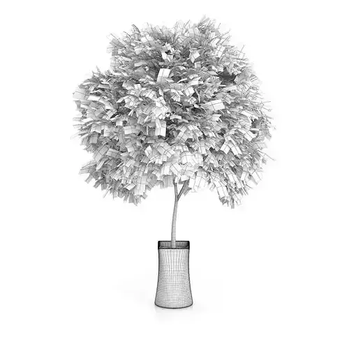 Small Tree in White Pot