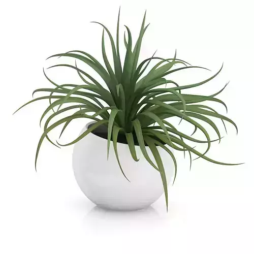 Plant in Sphere Pot 3D model