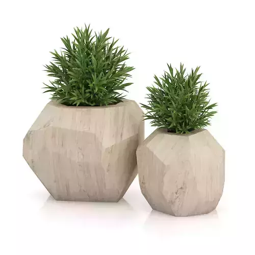 Two Plants in Modern Wooden Pots 3D model