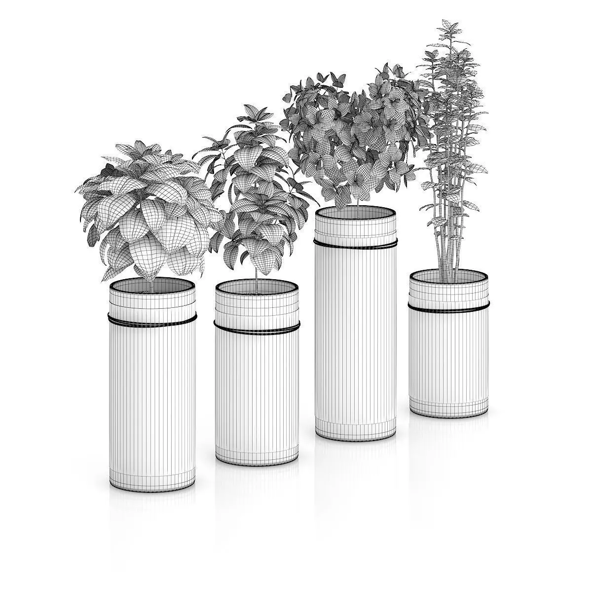 Four Herbs in Glass Pots 3D model_1