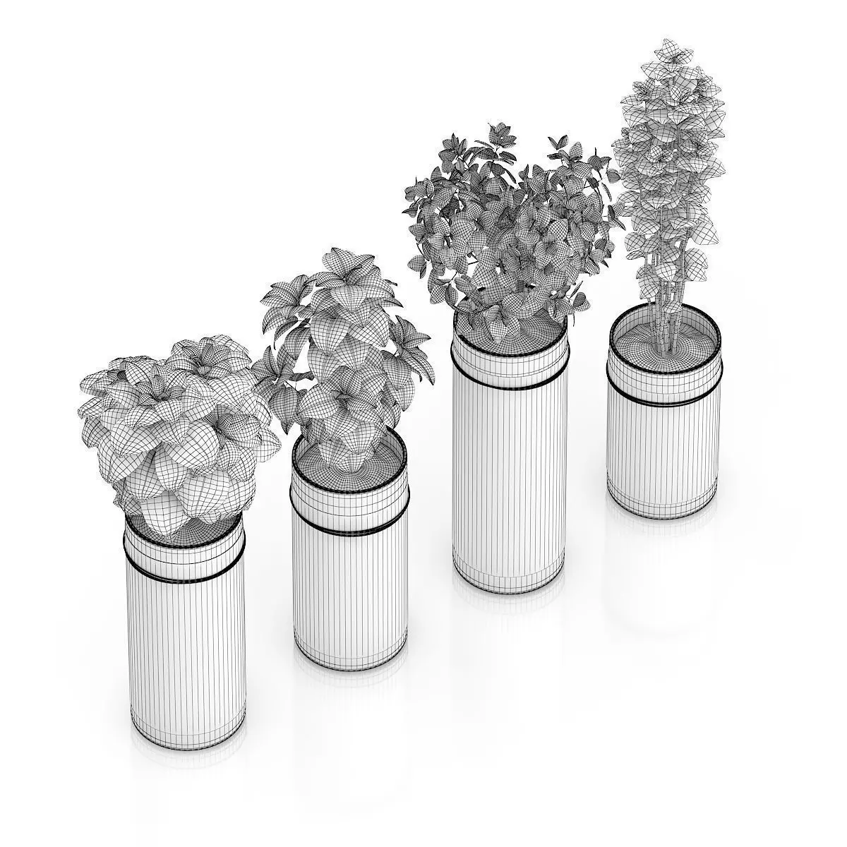 Four Herbs in Glass Pots 3D model_5