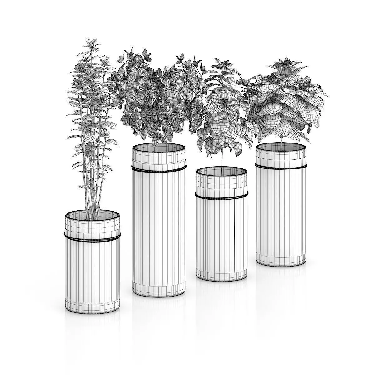 Four Herbs in Glass Pots 3D model_3