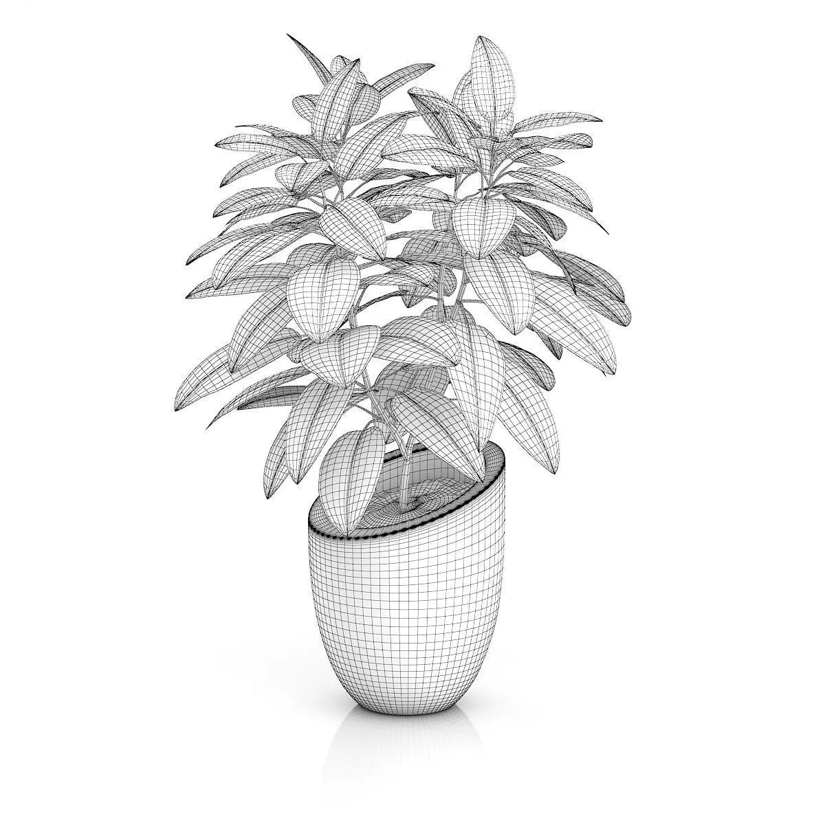 Plant in Black Pot 3D model_1