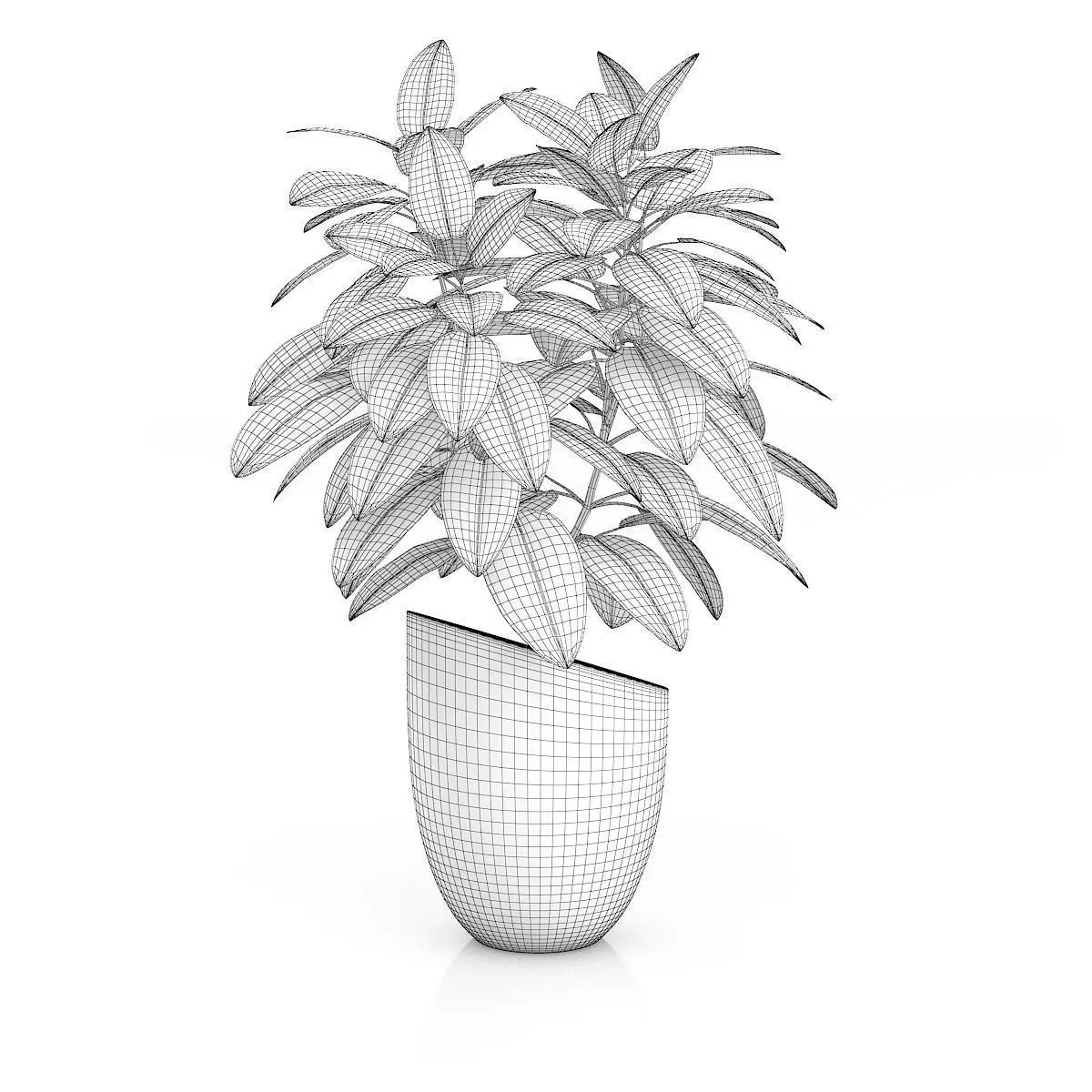 Plant in Black Pot 3D model_3