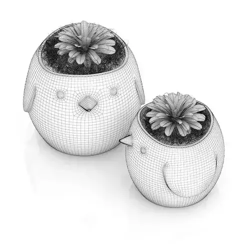 Two Plants in Bird Pots