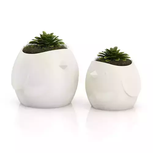 Two Plants in Bird Pots