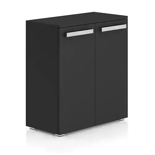 Dark-grey Cabinet with Doors