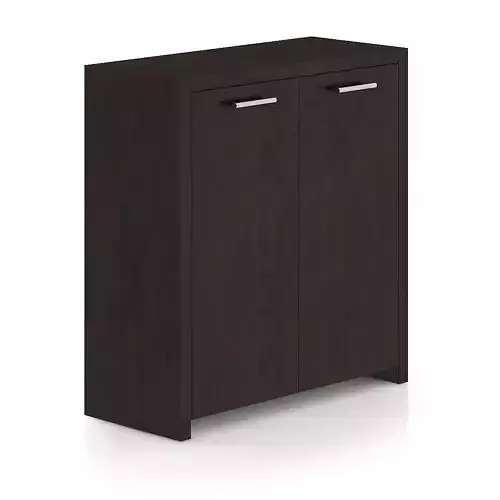 Black Wood Cabinet with Doors