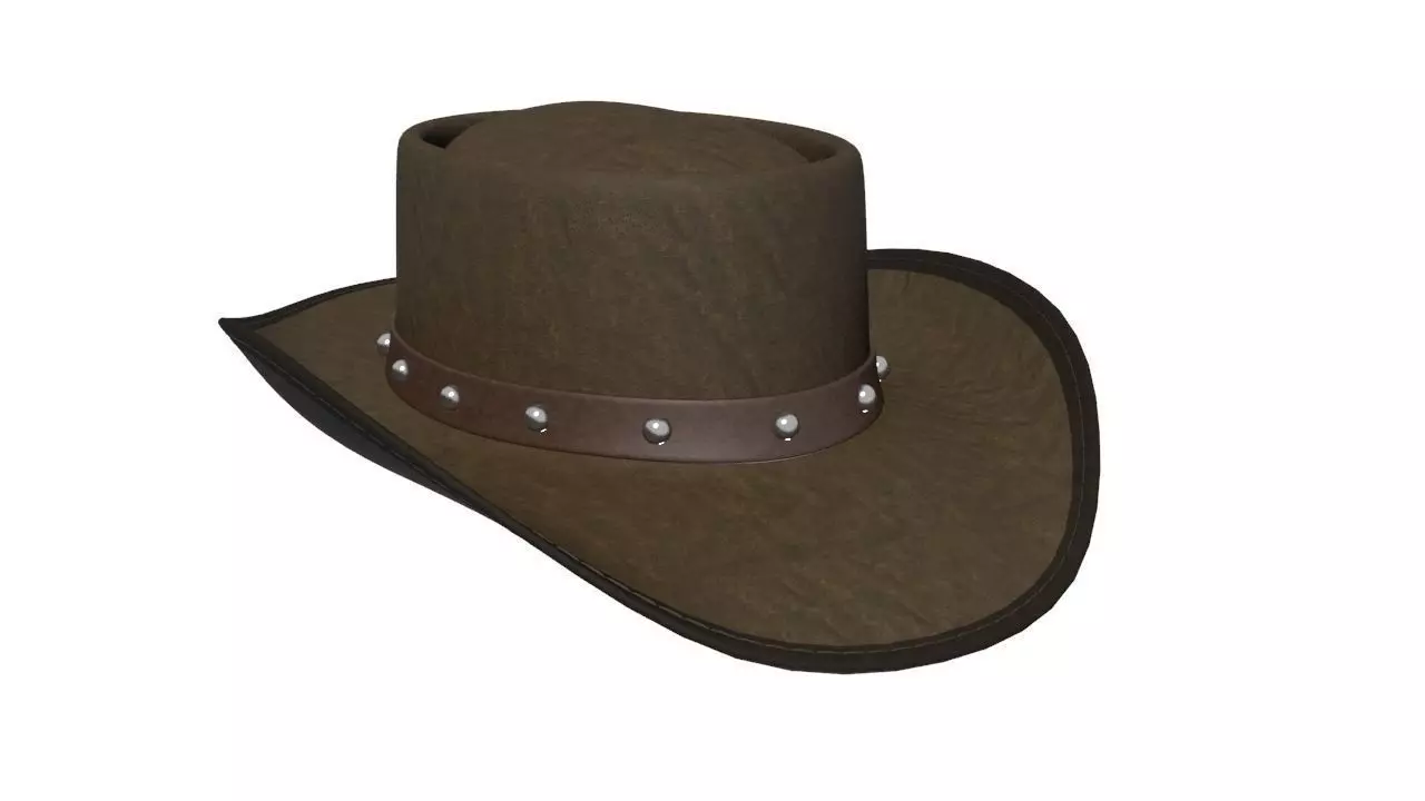 Django Hat High Poly 3D model_0