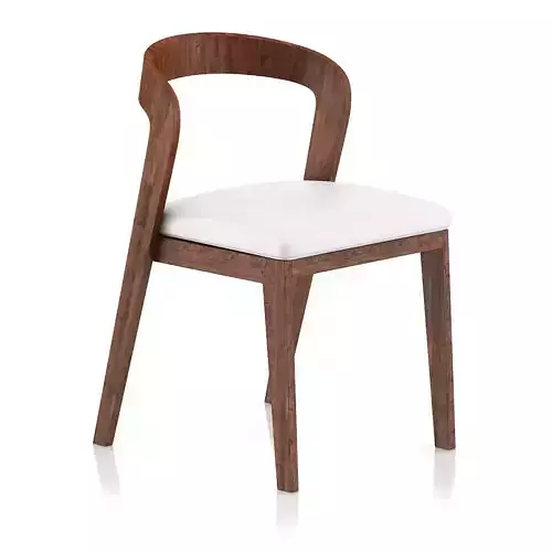 Wooden Chair with Pillow 3