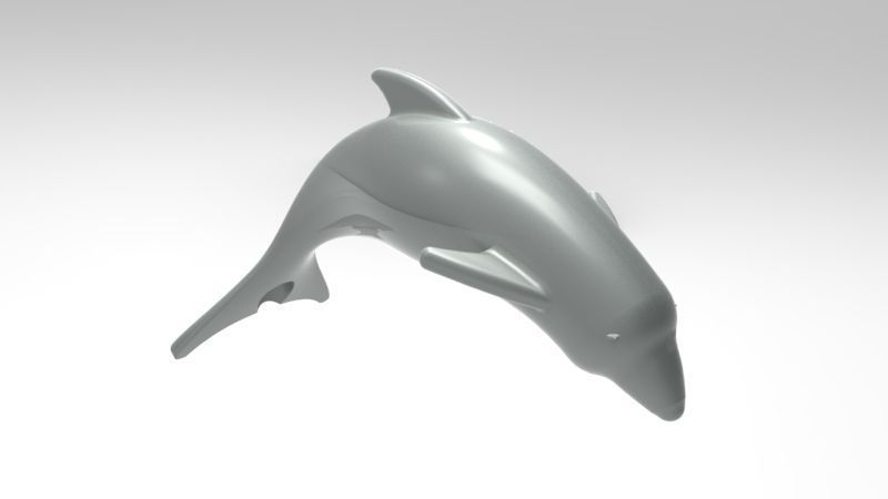 dolphin 3D model Free 3D print model_3