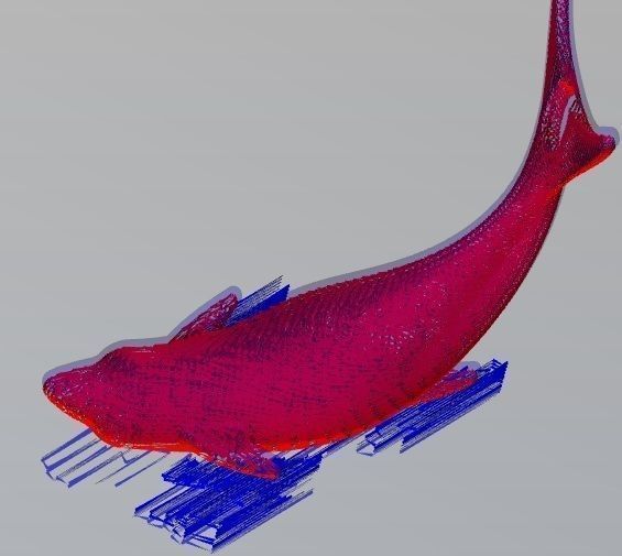 dolphin 3D model Free 3D print model_7