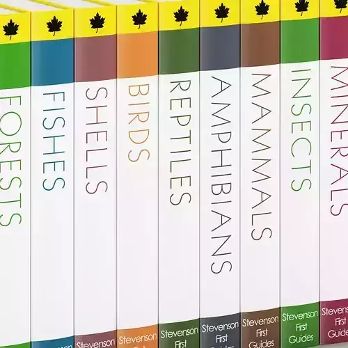 Encyclopedia 3 stack of books