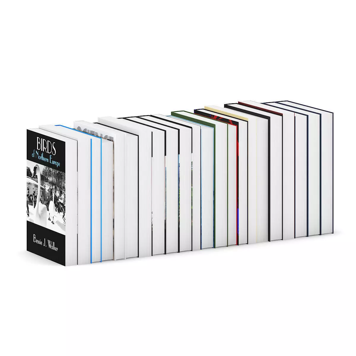 Guide Books 3 3D model_5