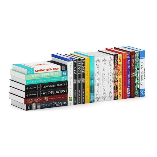 Guide Books 1 3D model