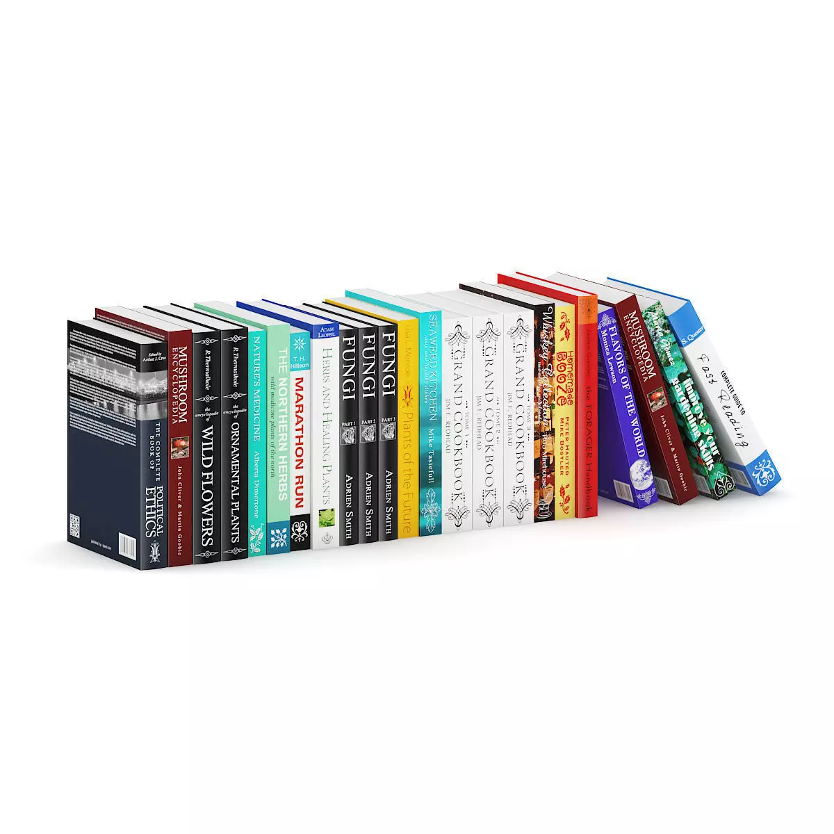 Guide Books 1 3D model_1