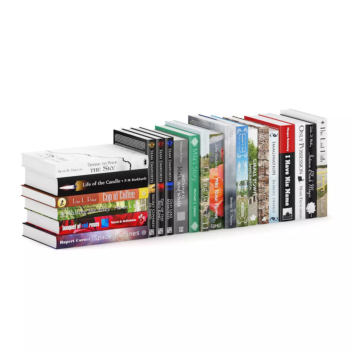Novel Books 2 3D model_0